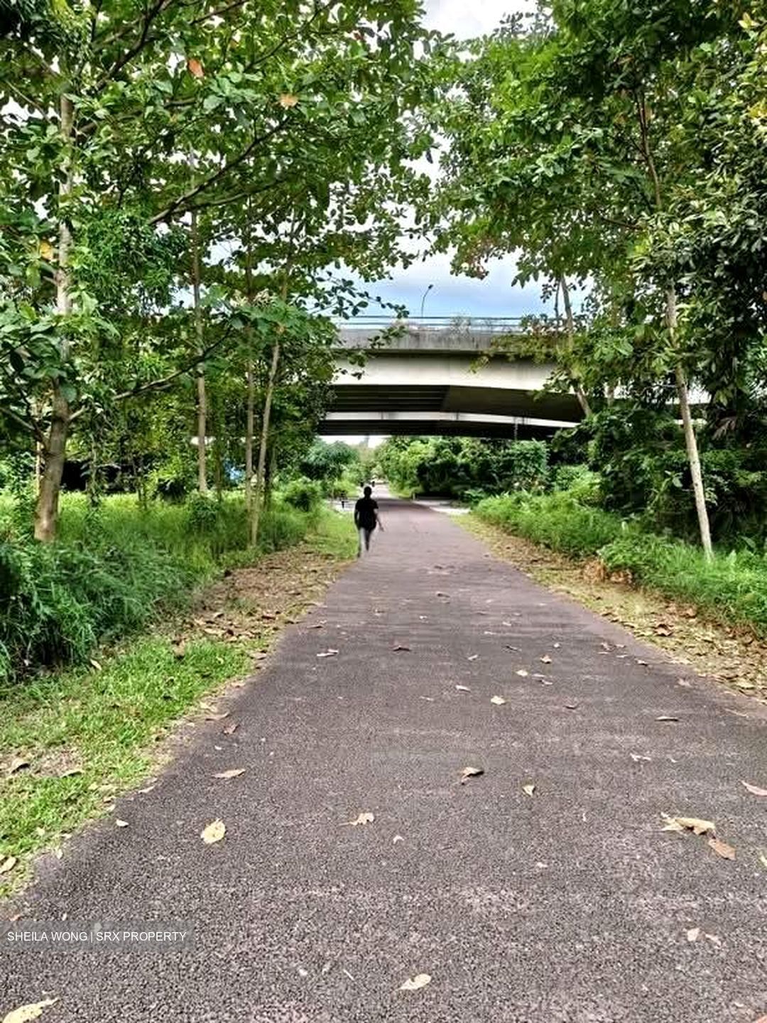 Avenue South Residence (D3), Apartment #551917051
